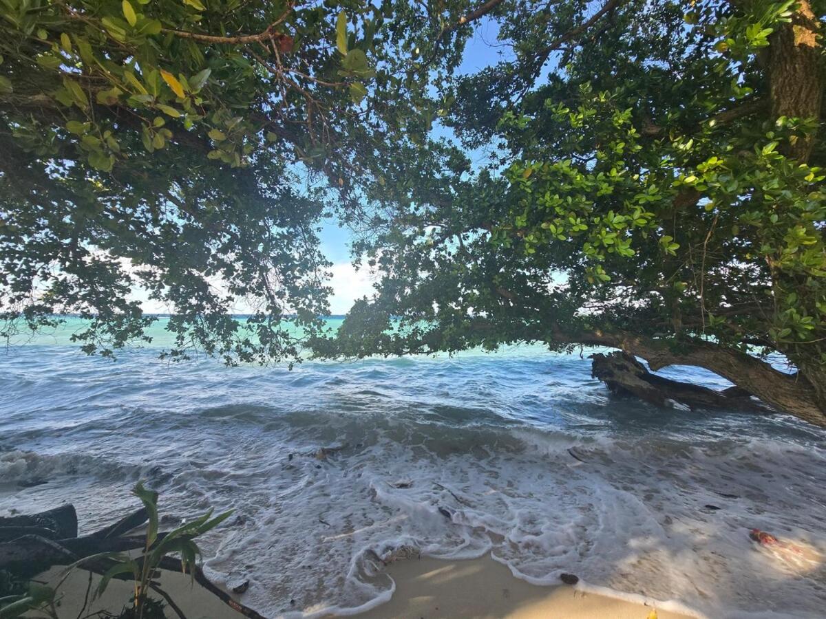 Majuro Beachfront Container Home - B&B Majuro