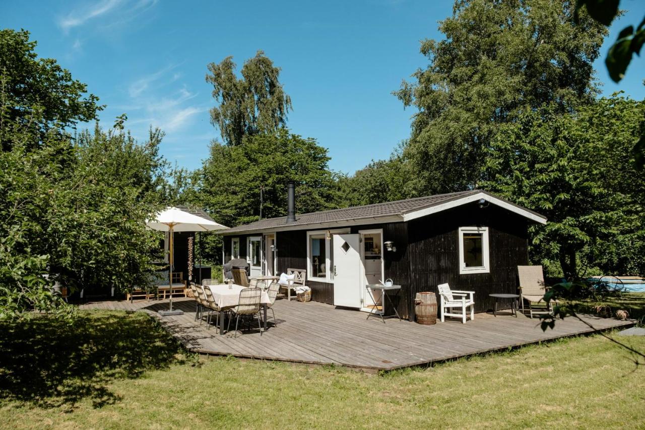 Green Oasis An Hour From Copenhagen City - B&B