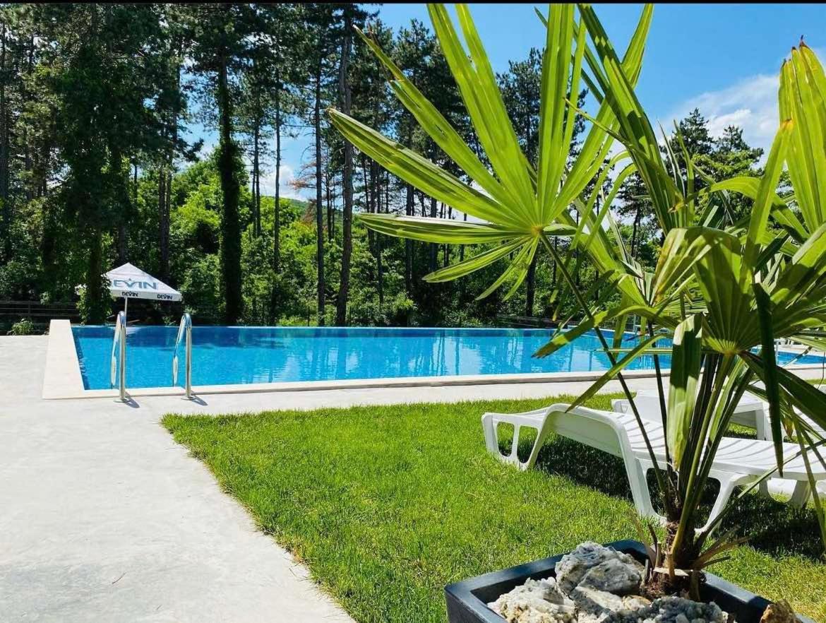D Villa - B&B