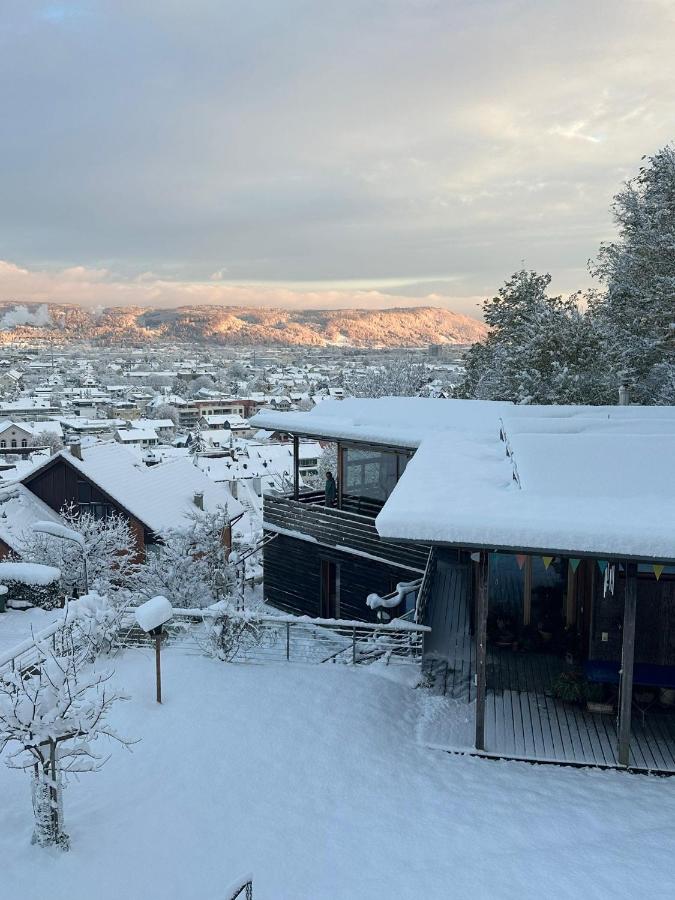 B&B Sunnesite Pratteln - B&B