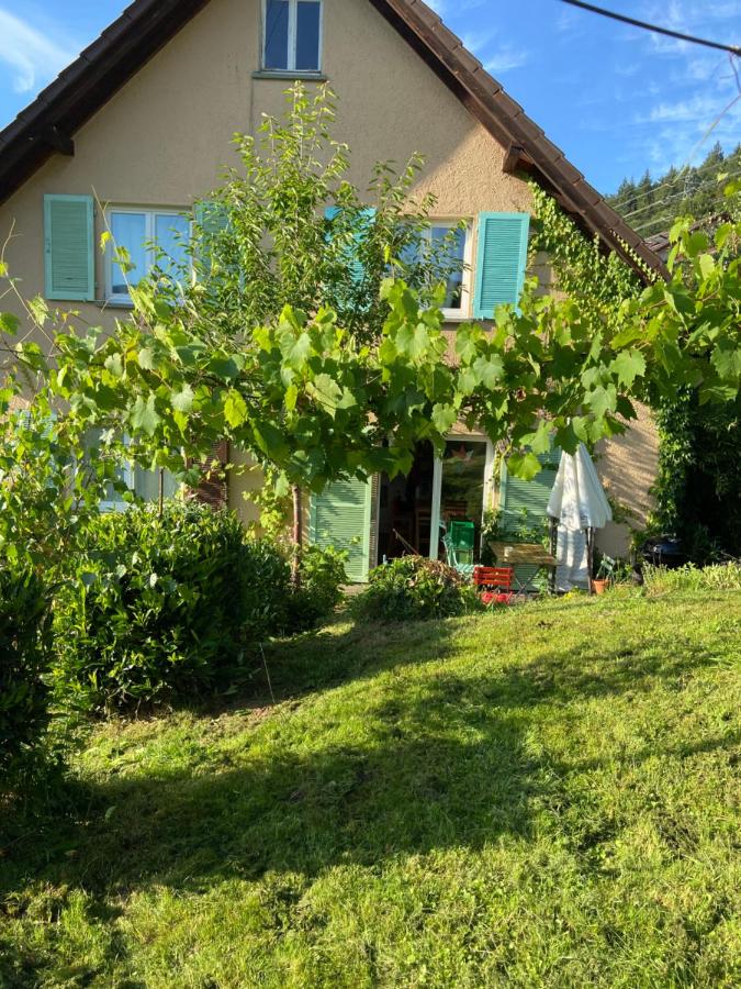 Ferienwohnung Kräutergarten - Bed and Breakfast