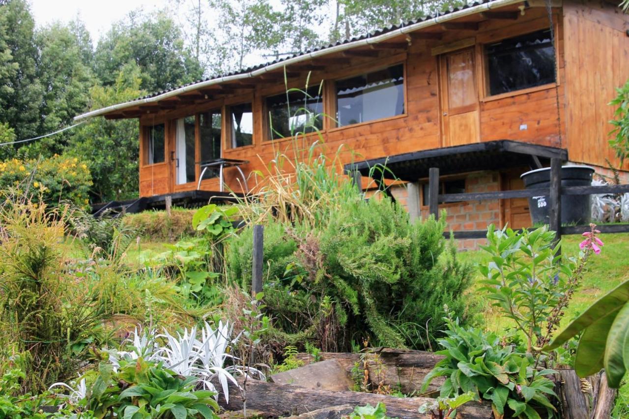Chalet Enquiry for Peace and Love with Nature - B&B