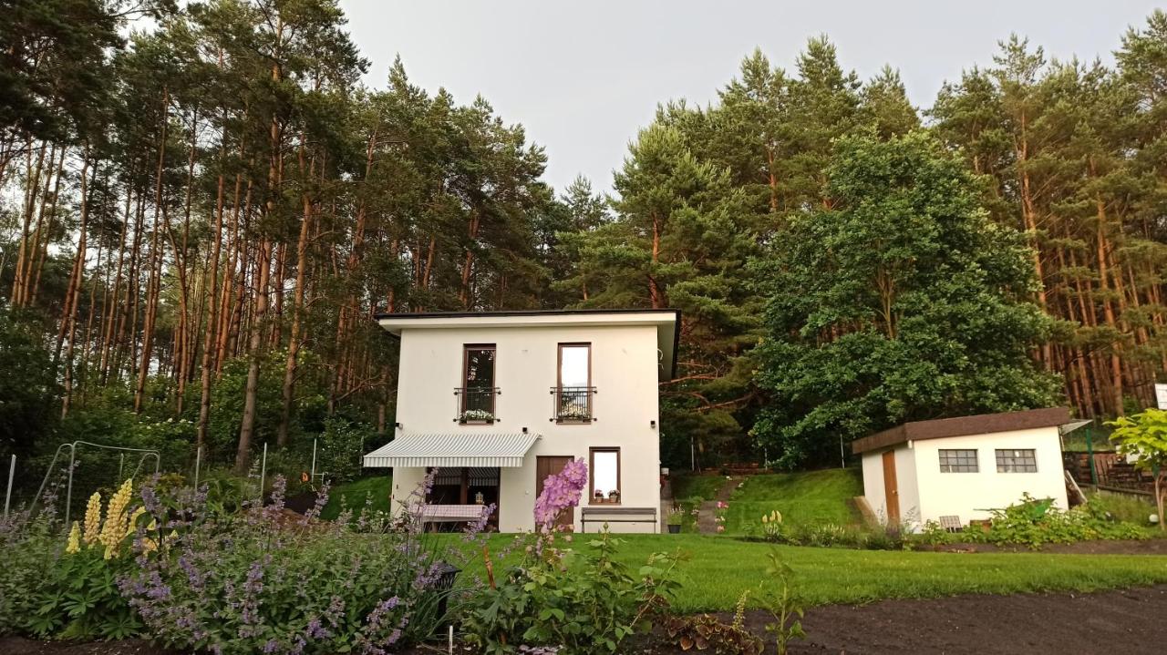 Cicho-Ciszej Dom całoroczny 7-osobowy - B&B