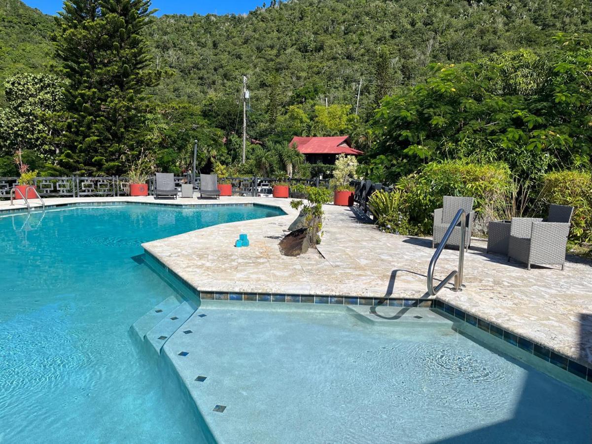 Mid-Century: Caribbean Style - B&B Contant