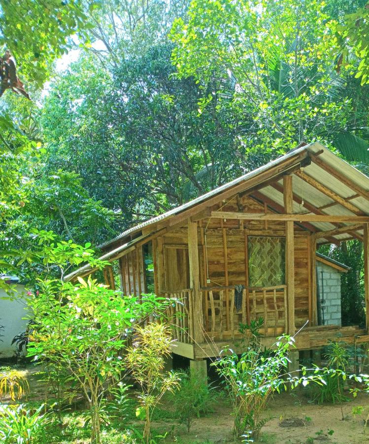 Sigiri Bliss Garden Home Stay - B&B Sigiriya