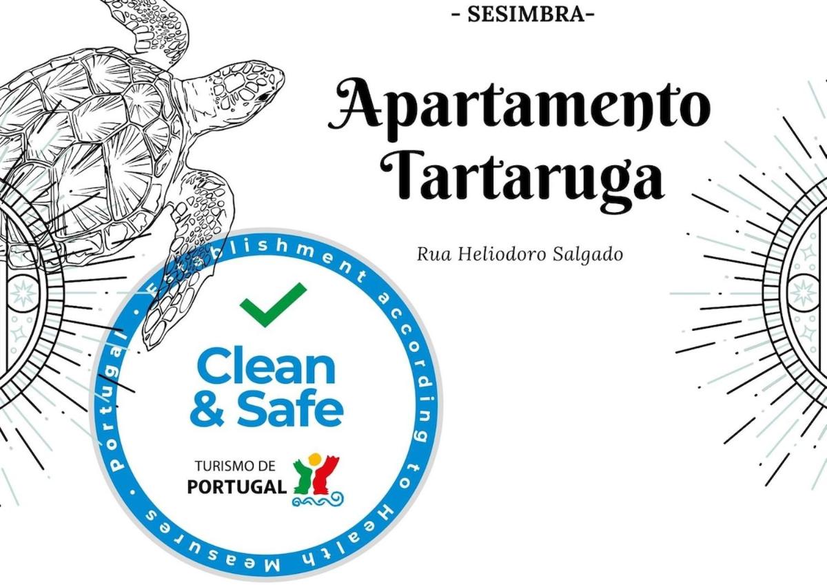 Tartaruga Apartment Wonderful & Modern - B&B
