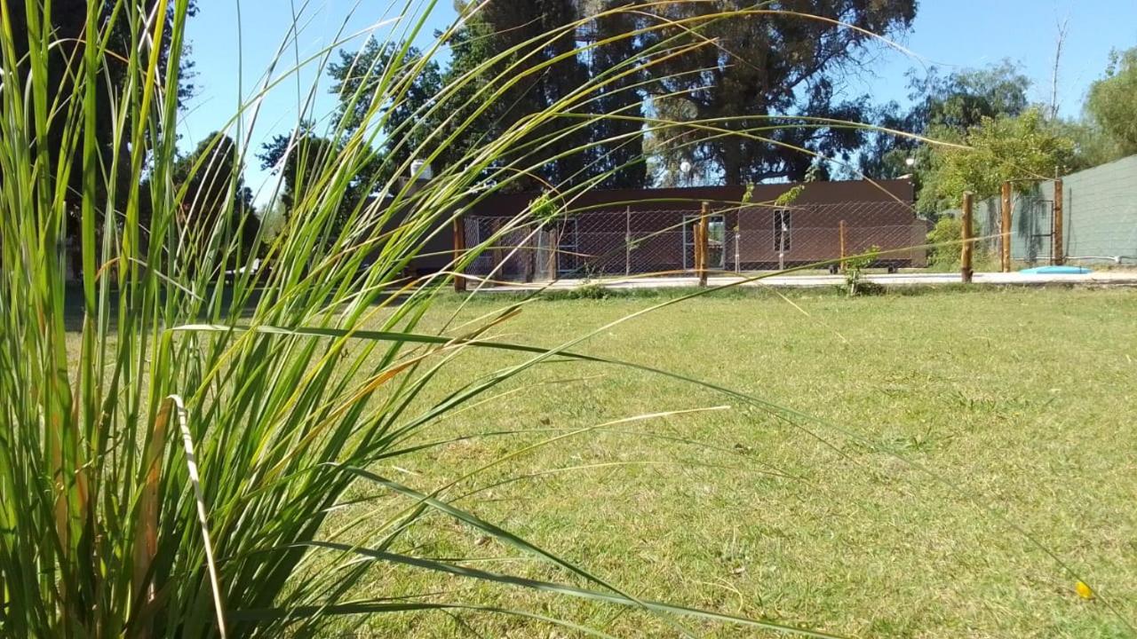 Quinta Francisco Mendoza - Bed and Breakfast