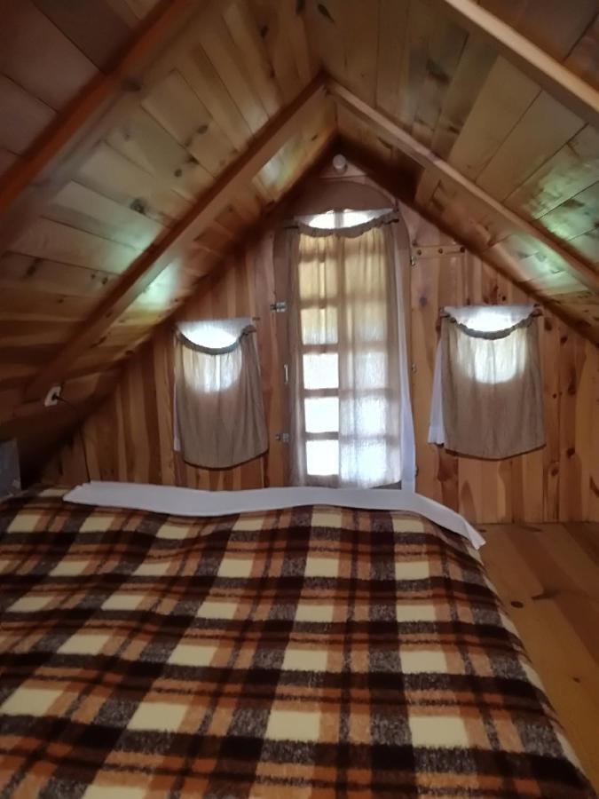 Holiday Home Carovina - B&B