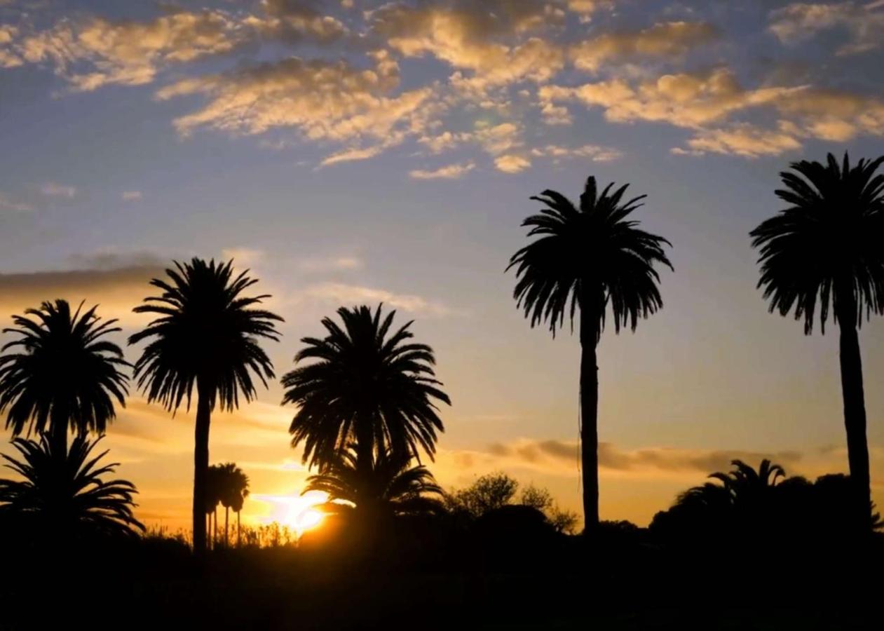 HYEDHI Studio pour 4 personnes avec vue mer sur le port d'Hyères - B&B Hyères