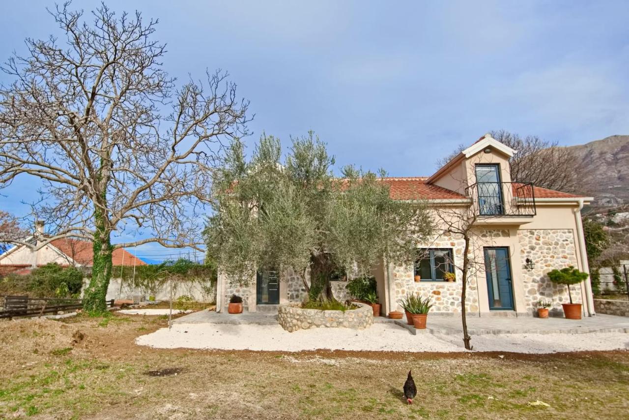 Green Ranch Stara Maslina - B&B