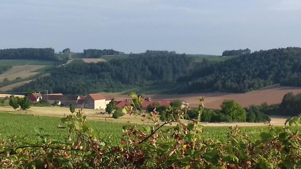 Logement pleine nature - B&B Saint-Bris-le-Vineux