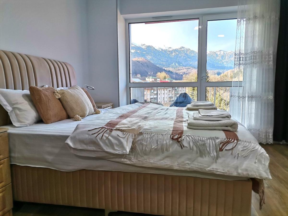 Tutu Apartment Sinaia - Bed and Breakfast