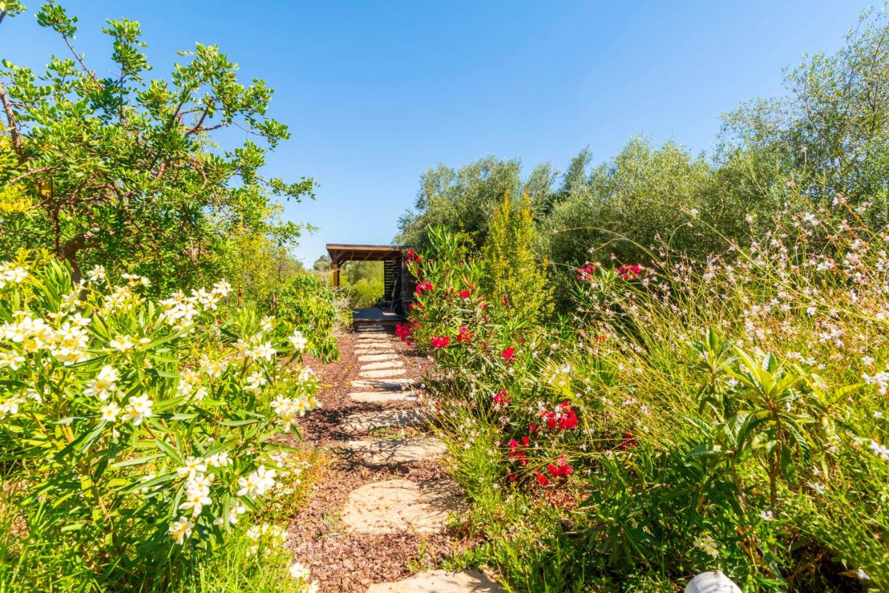 Laranjal Farm House - B&B Moncarapacho