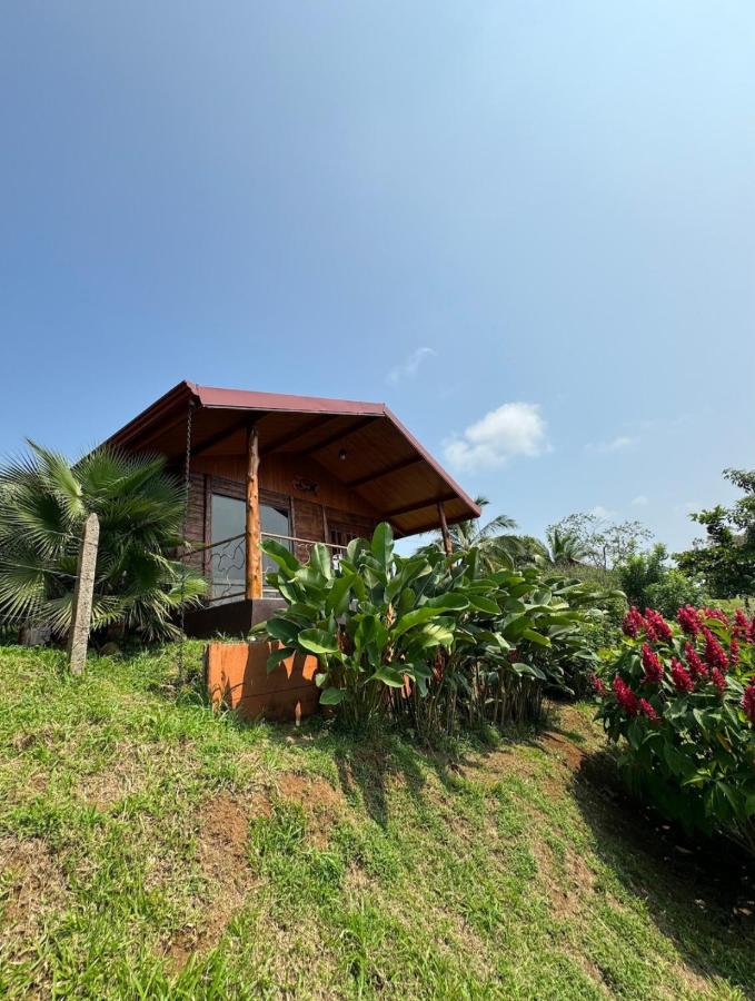 Villa Lomas Sarapiquí - B&B
