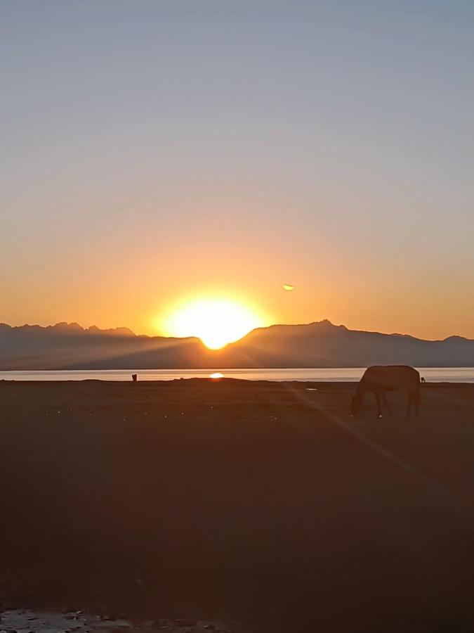 Yurt camp KEREMET - B&B