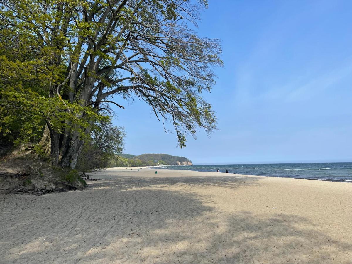 Apartamenty Typu Studio - Przy Plaży Gdynia Orłowo - B&B