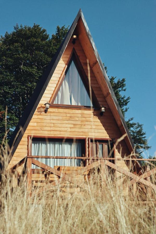 Cottage Forest Hill - Ferienwohnung Žabljak