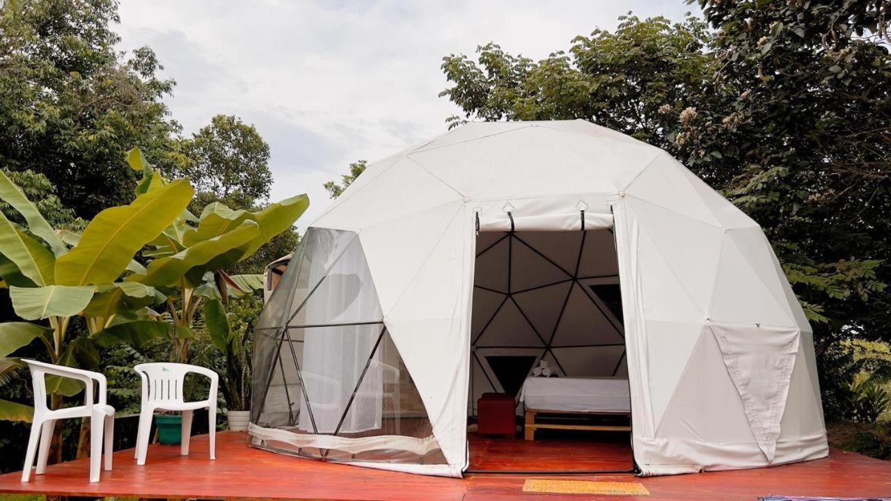Glampyn amazonic colibri - B&B