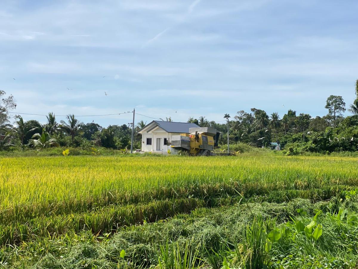 D'Bendang Homestay - B&B