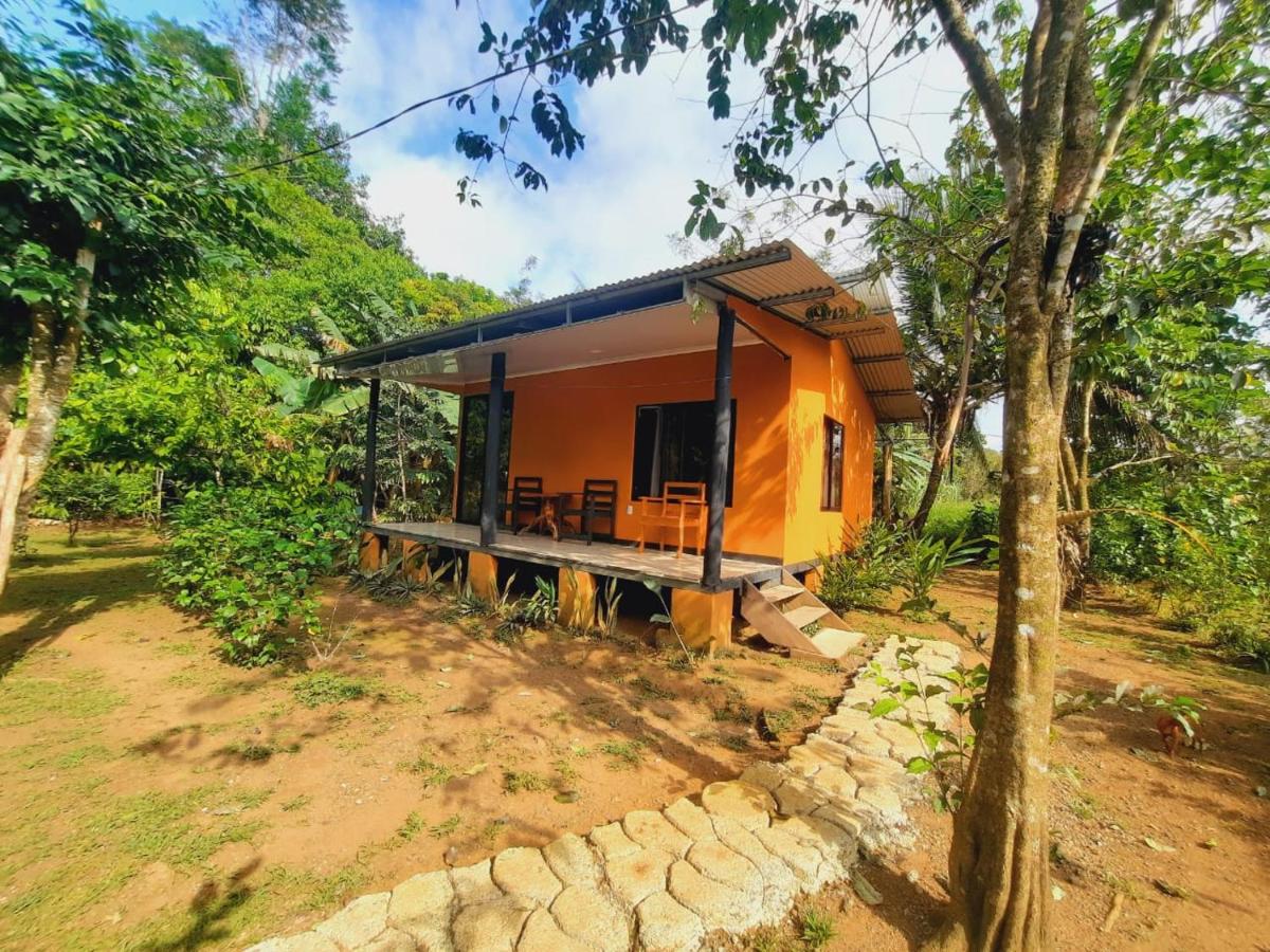 Cabinas Corcovado Green Parrot, Los Planes Drake - Chambres d'hôtes Drake Bay