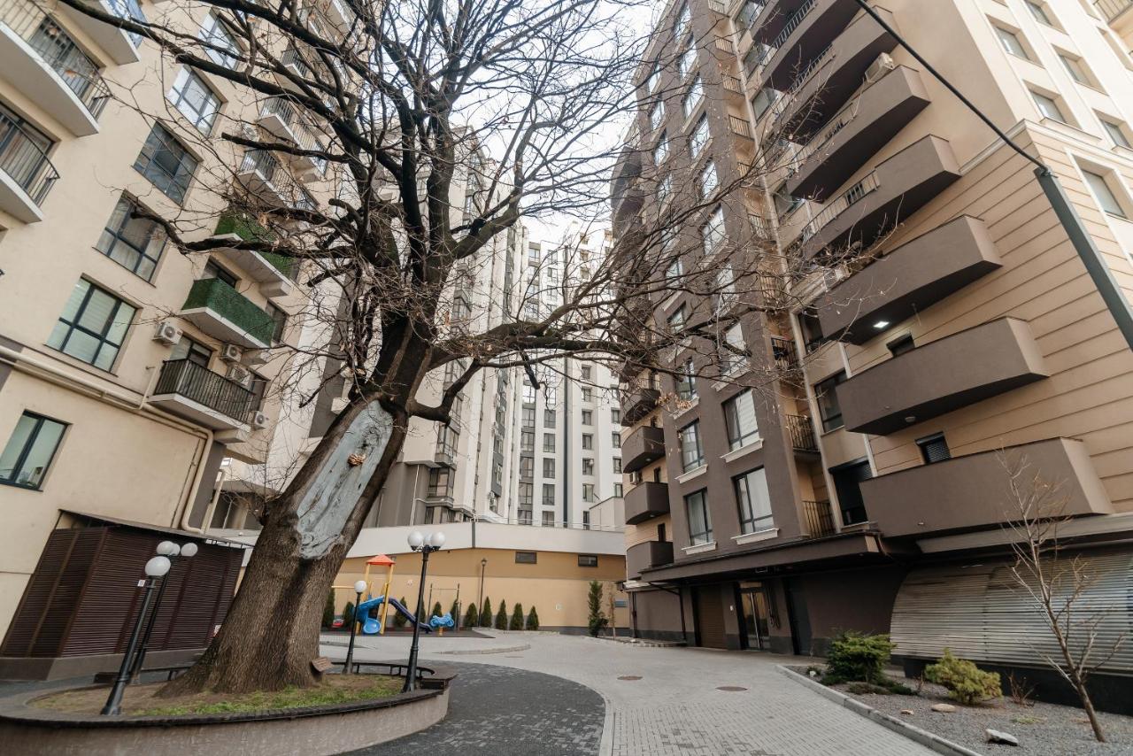 City Walk Apartment & MiRent - Bed and Breakfast Chisinau