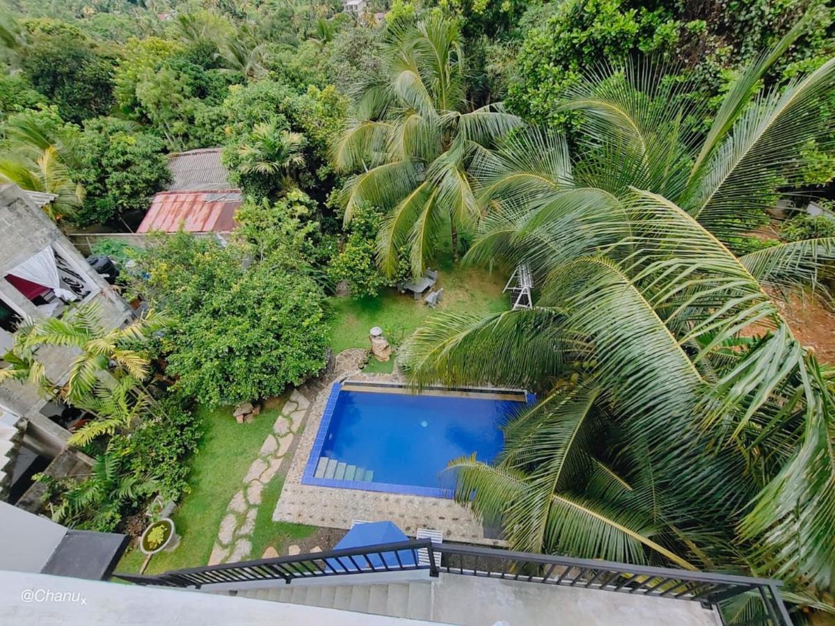 King Room with Pool View