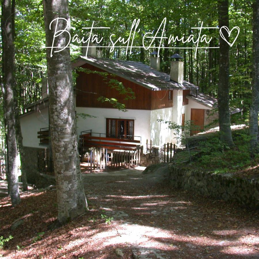 Baita Amiata - B&B Abbadia San Salvatore