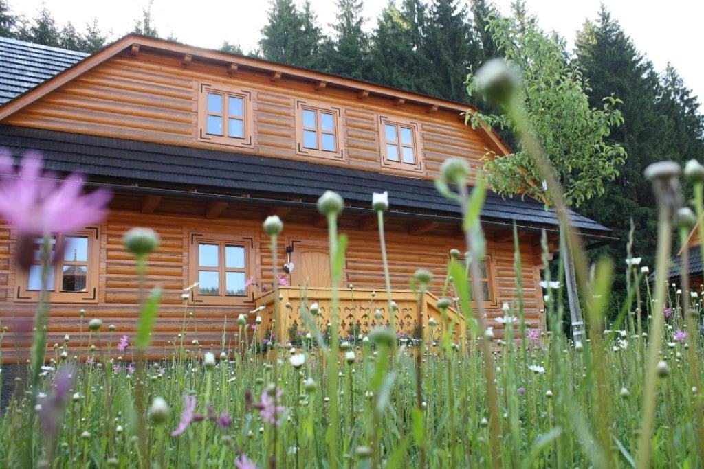 Drevenica pri Hájenke - B&B