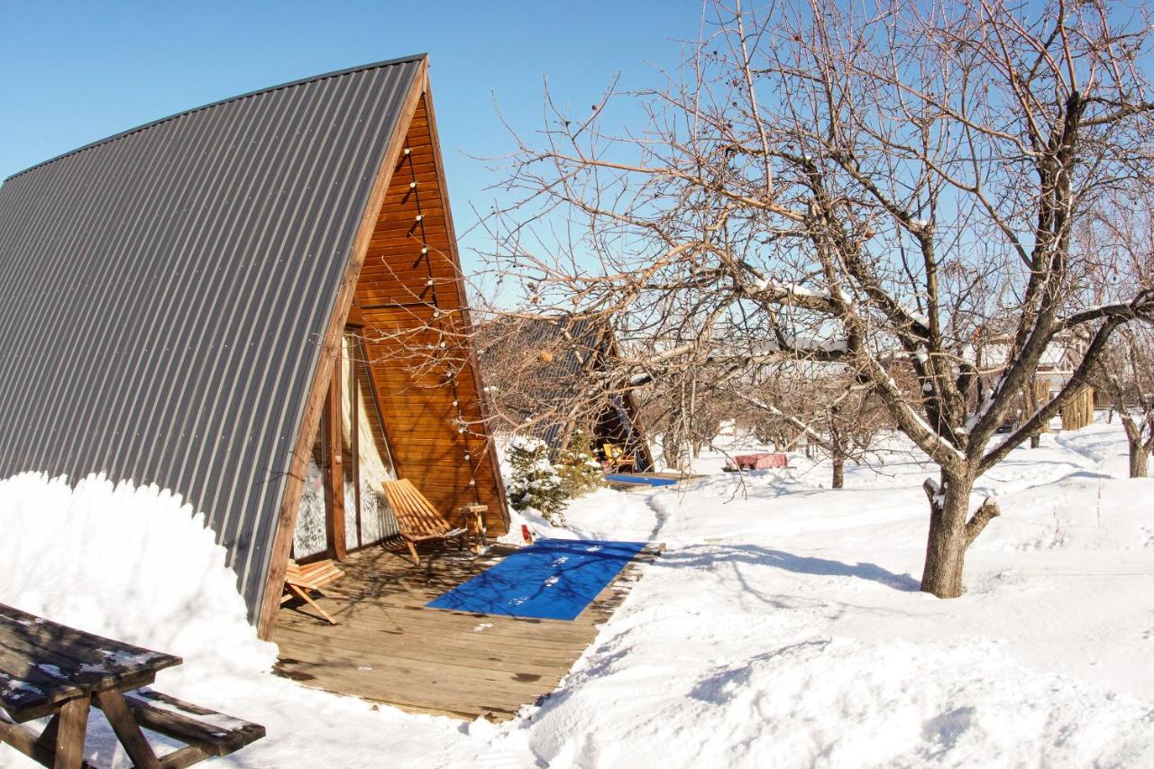Little Alma-ata - B&B