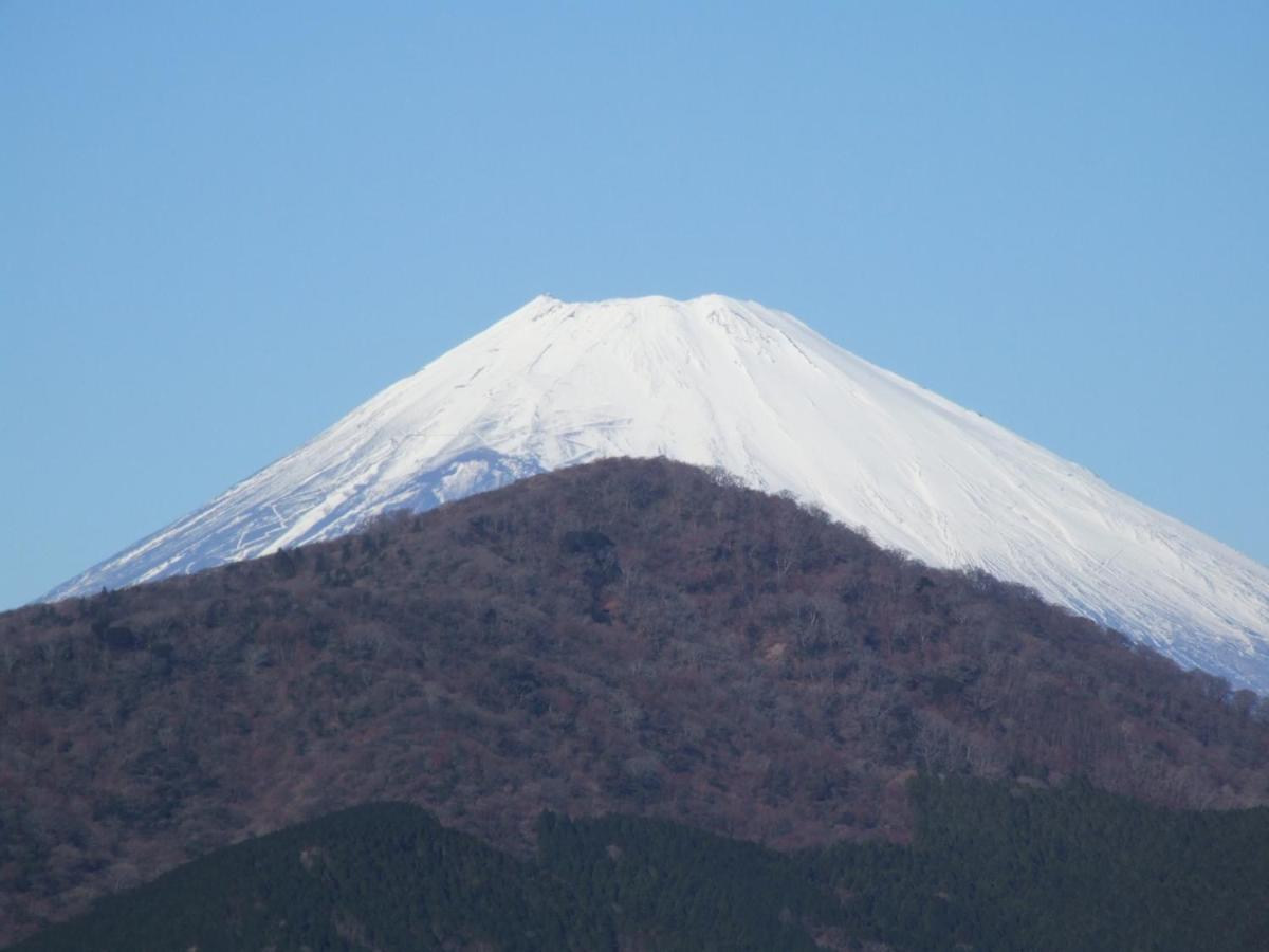 Luxury Suite with Mt. Fuji View