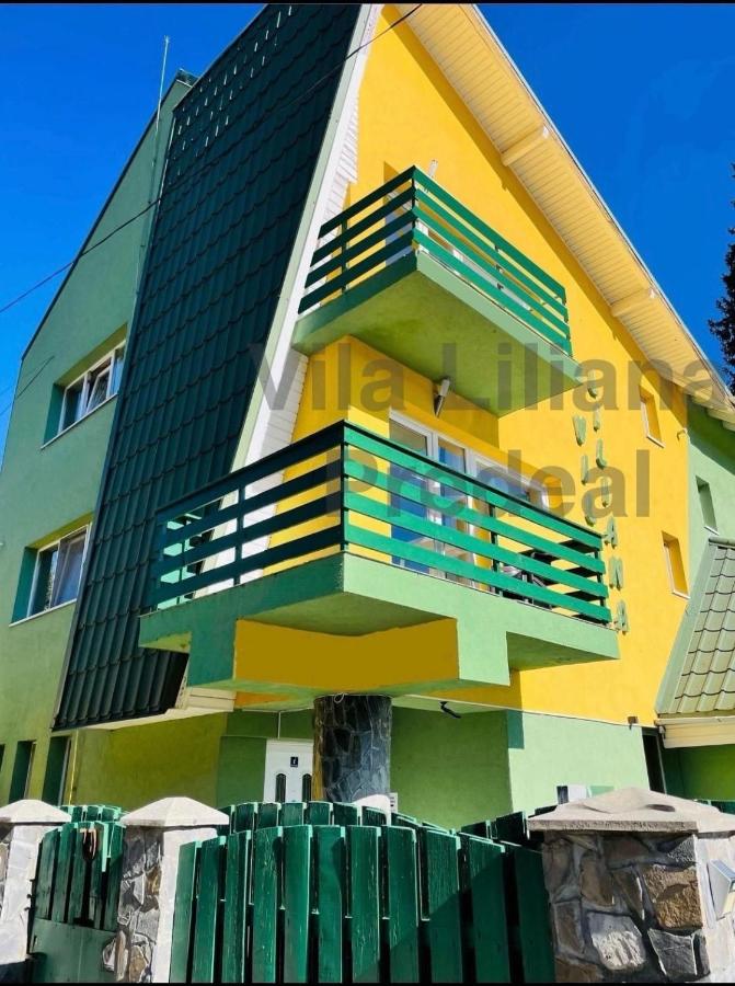 Vila Liliana - B&B Predeal