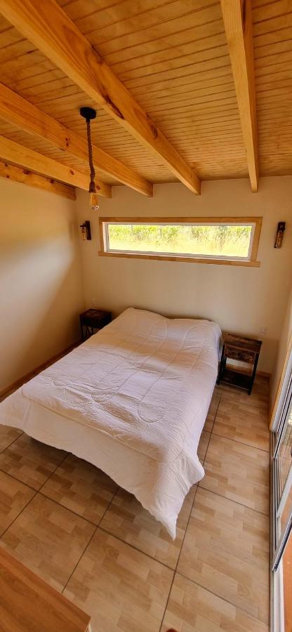AltaVista Lago Ranco - Ferienwohnung