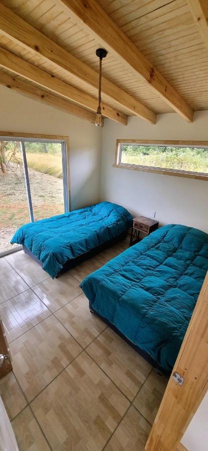 AltaVista Lago Ranco - B&B La Unión