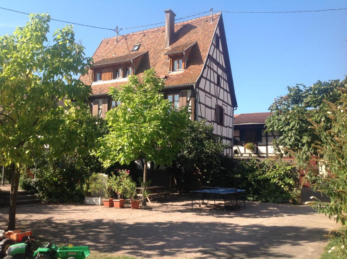 B&B Dambach-la-Ville - La Cour Zaepffel - Bed and Breakfast Dambach-la-Ville