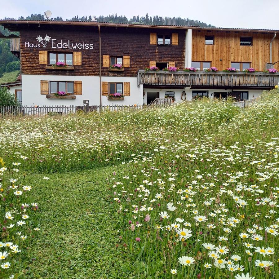 Haus Edelweiß - B&B