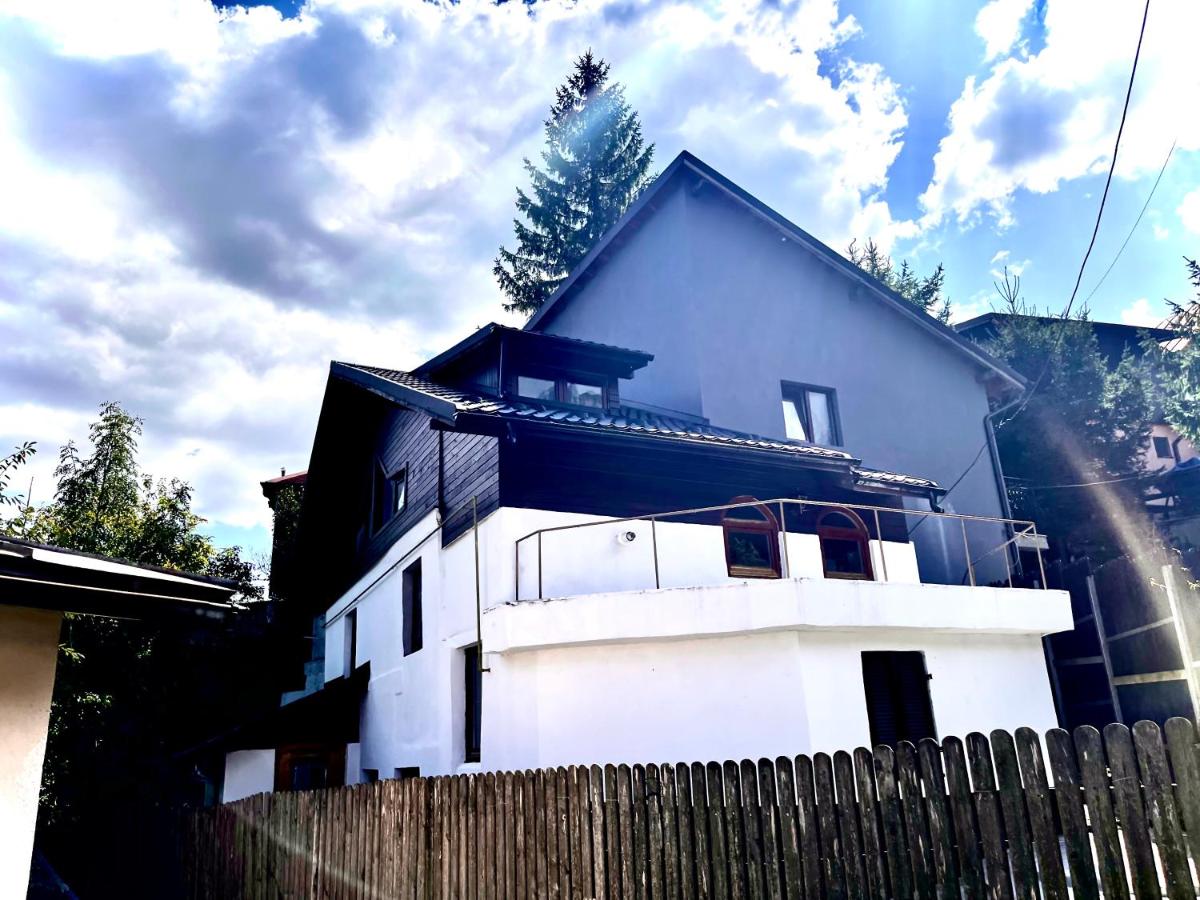 Beduin Vila - B&B