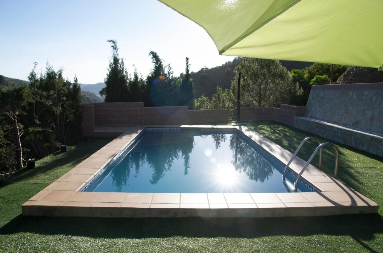 Rural Montes Málaga: Finca Pedregales - Chambres d'hôtes Málaga