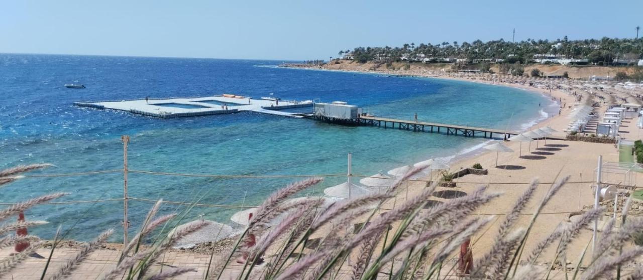 Central Acquamarine suite whit terrace - Bed and Breakfast Sharm el-Sheikh