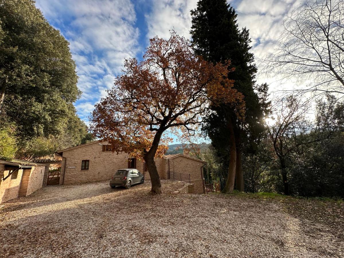 Spello Sant'Onofrio - Bed and Breakfast Spello