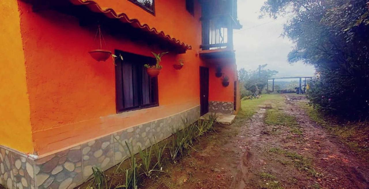 Boresta House -Santa Elena con vista al Bosque y terraza privada - B&B Medellín