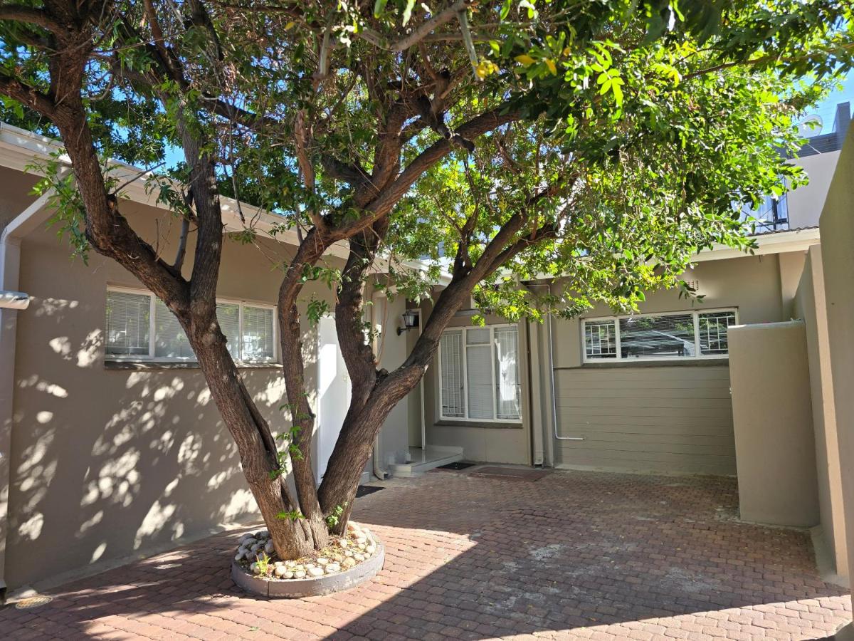Cottage in Klein Windhoek - B&B