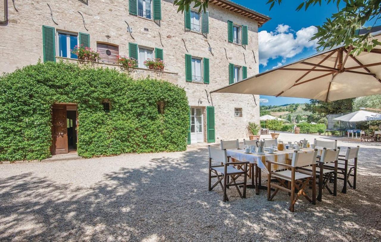 Agriturismo Cuore Verde Alloro - Bed and Breakfast Spello