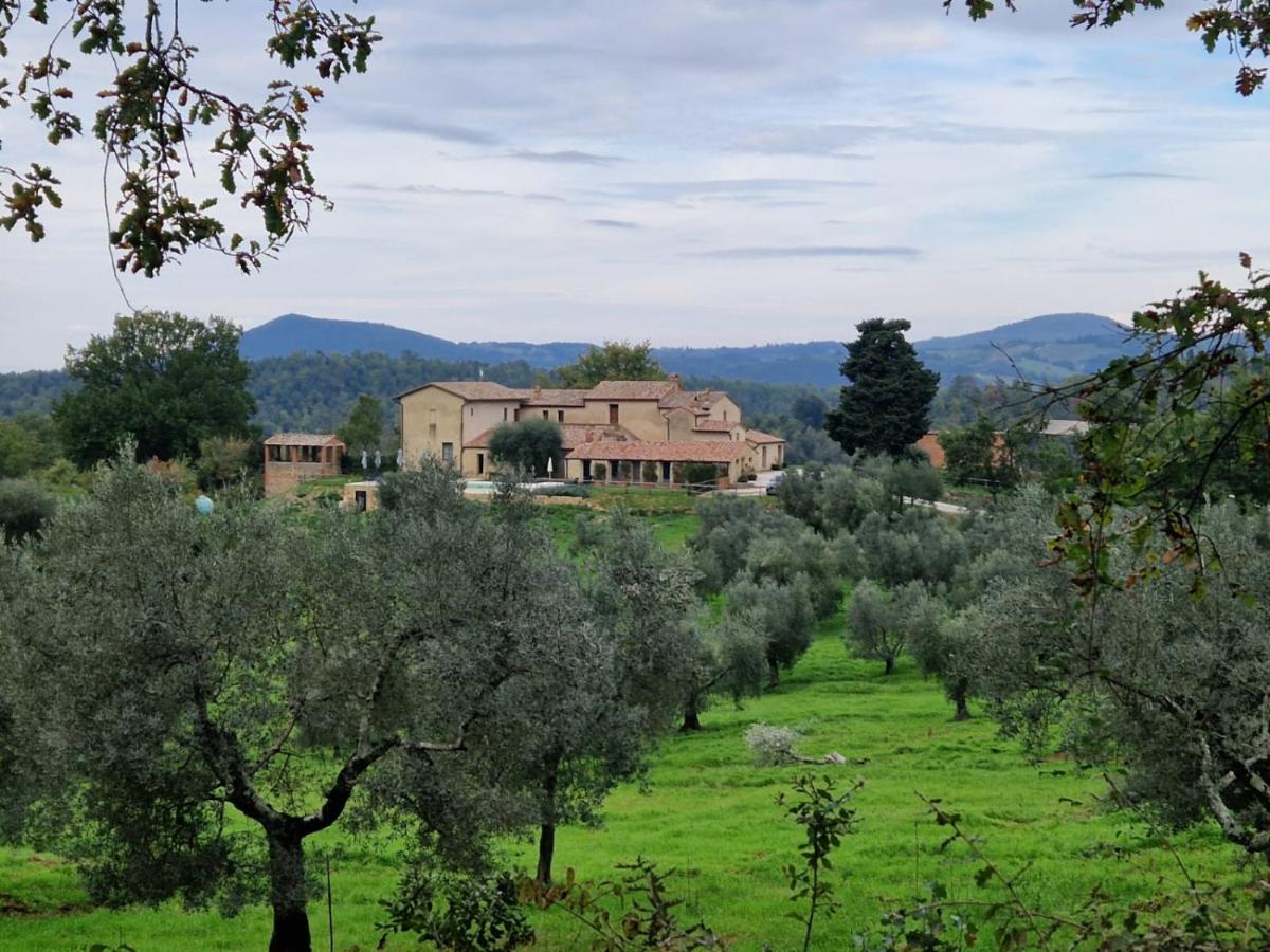 Palazzo Massaini - Cavarciano - Ferienwohnung Pienza