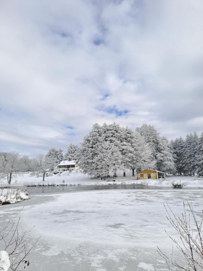Maison vue sur lac en moyenne montagne - Ferienwohnung Pradelles-Cabardès