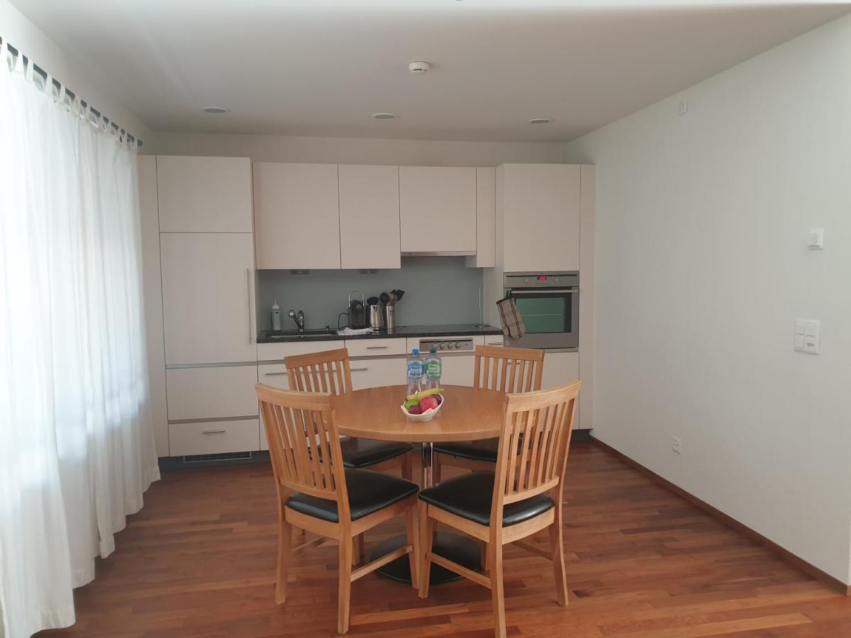 One-Bedroom Apartment with Terrace