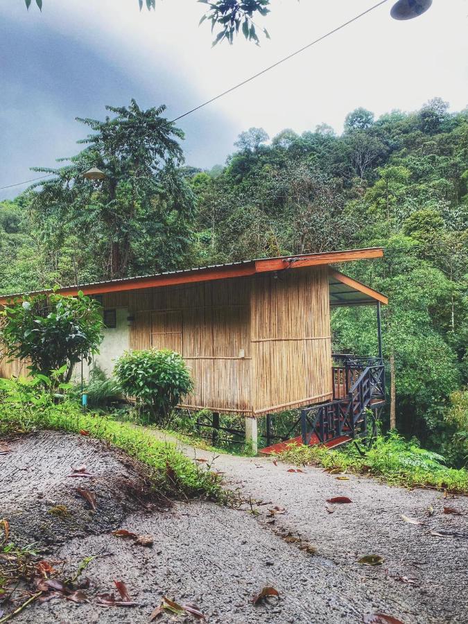 บ้านมานอนดอย - Manondoi โฮมสเตย์เชียงดาว - B&B Ban Pang Klang