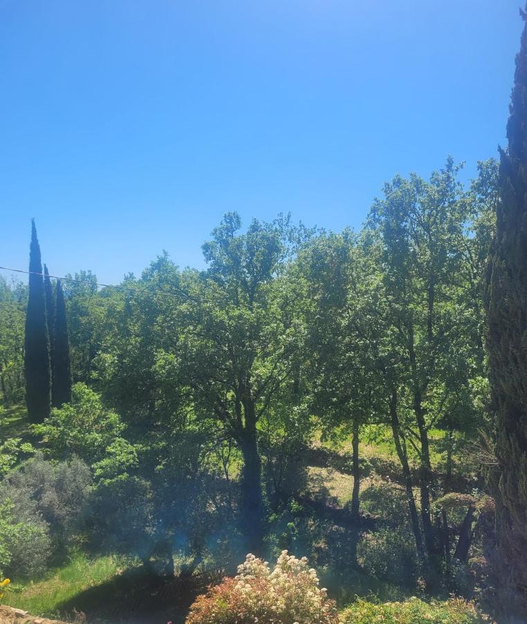 Le mas Les Salamandres - B&B