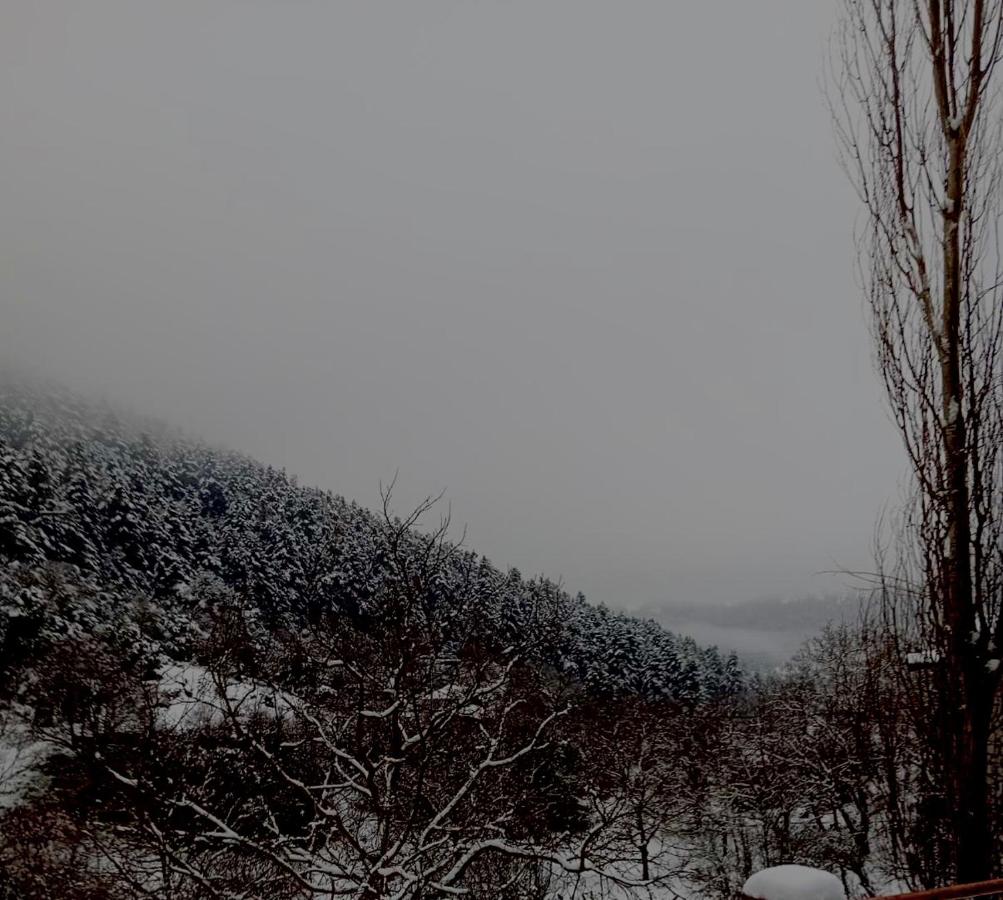 Ξενώνας με Θέα τα Έλατα - B&B Chrysovítsi
