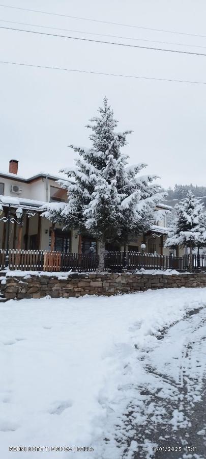 DT complex - B&B