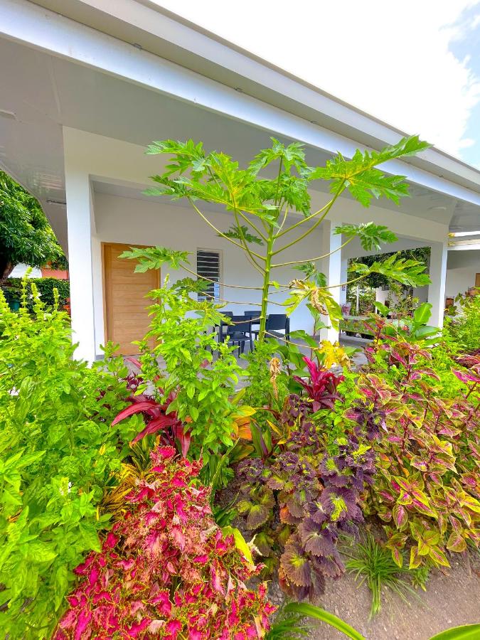 Bungalow con patio